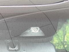 �ڥۥ�����󥷥󥰡�������������μ�ξ����ǧ���������ͤ������ʻ��Ϸ���ȥ֥졼���Ǿ��Ͳ�����ﳲ�ڸ��򥢥����ȡ��������˥ɥ饤�֤򤪳ڤ��ߤ��������ޤ��� 5