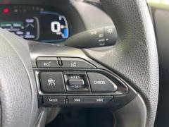 �ڥ졼�������롼������ȥ�����۹�®ƻϩ�Ǥ�Ĺ��Υ���Ԥ��ڤˡ�����ư��®�٤��ݤĥ��롼������ȥ����뤬�����ͷڸ������ƥ��Ϣ�Ȥ��������μ�ξ���Τ��Ƽִ֤��ݤĤ褦��®��Ĵ�ᤷ�Ƥ���ޤ����� 7