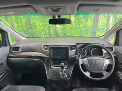 ���롼�����߸˿��󣳣����������桪������η���Ź����᡼�������ּ���鷺���Ҳ�����Τǡ����ʤ��˥ԥå���Τ��֤����Ĥ���Ϥ��Ǥ����ޤ��Ϥ��䤤��碌�������� 2