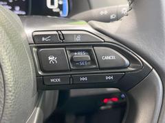 �ڥ졼�������롼������ȥ�����۹�®ƻϩ�Ǥ�Ĺ��Υ���Ԥ��ڤˡ�����ư��®�٤��ݤĥ��롼������ȥ����뤬�����ͷڸ������ƥ��Ϣ�Ȥ��������μ�ξ���Τ��Ƽִ֤��ݤĤ褦��®��Ĵ�ᤷ�Ƥ���ޤ����� 6