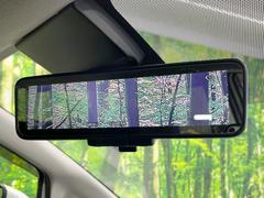 �ڥ���ƥꥸ����ȥ롼��ߥ顼�۸��ʤ��礭�ʲ�ʪ��Ʊ��ԤǸ�������ǧ���Ť餤���Ǥ�¿�������餬���Ƥ�����ξ�����α�����롼��ߥ顼���ɽ�������ꥢ�ʻ볦�Ǿ����γ�ǧ����ǽ�Ǥ��� 6