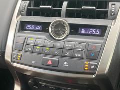 �ڥ����ȥҡ������۴������˽������륷���ȥҡ������������������᤯���ޤäƤ����ΤǴ�����οͤ�¿��Ǥ��͢���������β����ϴ��礹�뤫���ꡢ�Ȥ������ˤ�򤪤�����Ǥ��� 7