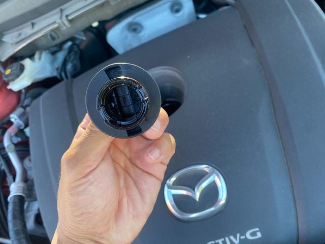 ＣＸ－８ ２５Ｓ　スマートエディション　前後ドラレコ　禁煙車　マツダ整備歴　３６０度カメラメーカーオプション・ＣＤ／ＤＶＤプレーヤー＋地上デジタルＴＶチューナー（フルセグ）　樹脂塗装済　ＥＴＣ　スマートキー２個（44枚目）