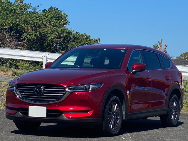 ＣＸ－８ ２５Ｓ　スマートエディション　前後ドラレコ　禁煙車　マツダ整備歴　３６０度カメラメーカーオプション・ＣＤ／ＤＶＤプレーヤー＋地上デジタルＴＶチューナー（フルセグ）　樹脂塗装済　ＥＴＣ　スマートキー２個（45枚目）