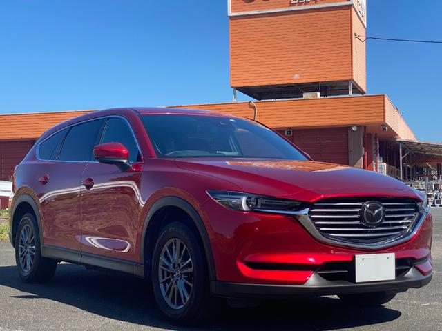 ＣＸ－８ ２５Ｓ　スマートエディション　前後ドラレコ　禁煙車　マツダ整備歴　３６０度カメラメーカーオプション・ＣＤ／ＤＶＤプレーヤー＋地上デジタルＴＶチューナー（フルセグ）　樹脂塗装済　ＥＴＣ　スマートキー２個（47枚目）