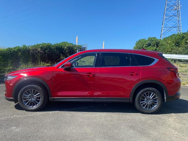 ＣＸ－８ ２５Ｓ　スマートエディション　前後ドラレコ　禁煙車　マツダ整備歴　３６０度カメラメーカーオプション・ＣＤ／ＤＶＤプレーヤー＋地上デジタルＴＶチューナー（フルセグ）　樹脂塗装済　ＥＴＣ　スマートキー２個（50枚目）