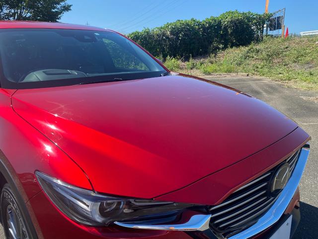 ＣＸ－８ ２５Ｓ　スマートエディション　前後ドラレコ　禁煙車　マツダ整備歴　３６０度カメラメーカーオプション・ＣＤ／ＤＶＤプレーヤー＋地上デジタルＴＶチューナー（フルセグ）　樹脂塗装済　ＥＴＣ　スマートキー２個（65枚目）