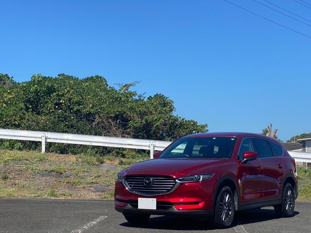 ＣＸ－８ ２５Ｓ　スマートエディション　前後ドラレコ　禁煙車　マツダ整備歴　３６０度カメラメーカーオプション・ＣＤ／ＤＶＤプレーヤー＋地上デジタルＴＶチューナー（フルセグ）　樹脂塗装済　ＥＴＣ　スマートキー２個（69枚目）