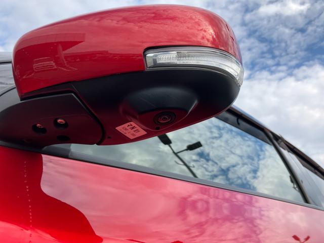 �y�S���ʃ��j�^�[�t�������[�i�r�z��p�̃T�C�h�J�����i���j