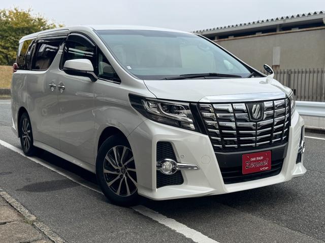 アルファード ２．５Ｓ　８人乗り　両側電動スライドドア　純正ナビ　ＴＶ　バックカメラ　後席モニター　クルーズコントロール　クリアランスソナー（10枚目）