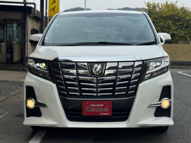 アルファード ２．５Ｓ　８人乗り　両側電動スライドドア　純正ナビ　ＴＶ　バックカメラ　後席モニター　クルーズコントロール　クリアランスソナー（12枚目）