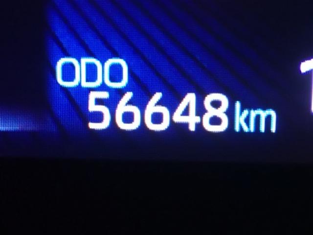 カローラツーリング ダブルバイビー（21枚目）