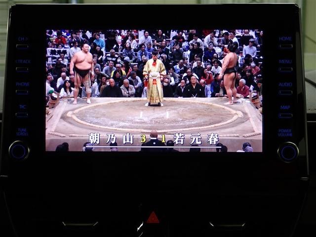 カローラツーリング ダブルバイビー（28枚目）