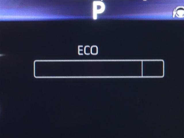 ���[�^�[���C���t�H���[�V����