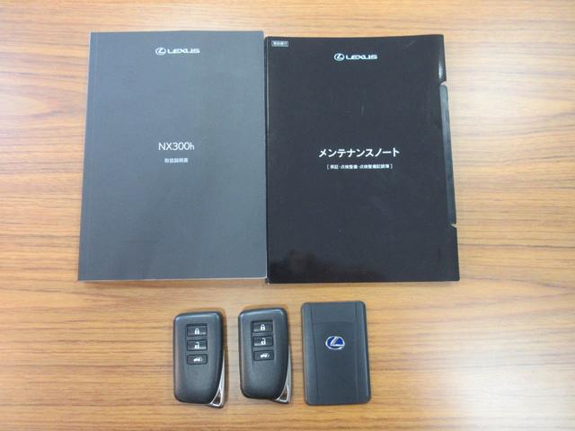ＮＸ ＮＸ３００ｈ　バージョンＬ　ドライブレコーダー　全周囲カメラ　クリアランスソナー　オートクルーズコントロール　レーンアシスト　衝突被害軽減システム　ナビ　オートマチックハイビーム　オートライト　ＬＥＤヘッドランプ　電動リアゲート（22枚目）
