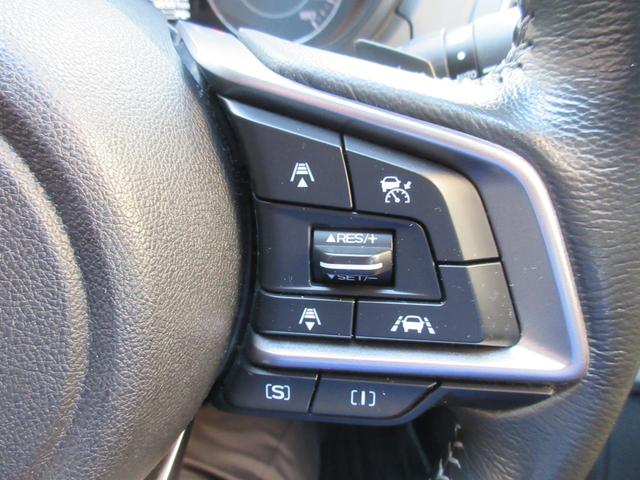 �A�N�Z���𓥂܂Ȃ��Ă��ݒ肵�����x�ő��s�\�ȃI�[�g�N���[�Y�R���g���[���𑕔����Ă��܂��I�����O�h���C�u�ł��^�]���y�ɂȂ�܂��B�u���[�L��V�t�g����ł������\�ł��I