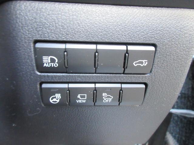 �[�Ԍ���C�����悭����蒸���܂��I�I