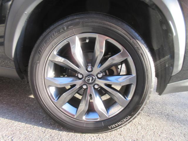 �����x�A���Ԃ��䗗���������B