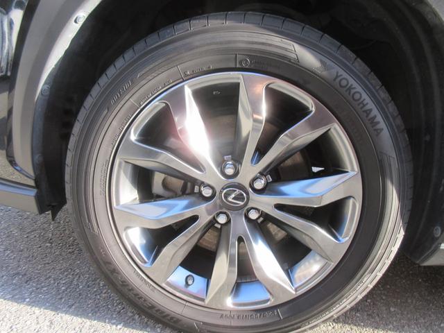 �����x�A���Ԃ��䗗���������B