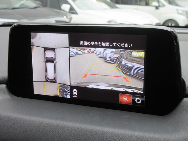 �y�S���̓J�����z�^�ォ��Ԃ������悤�Ƀ��j�^�[�Ŋm�F���ł���B������ۂ̎Ԃő̊����Ă݂Ă��������B