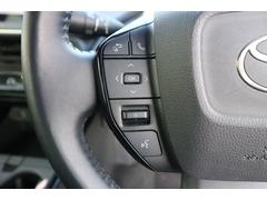 �ץꥦ�� �ǡ������ȥҡ����������롼������ȥ����롡�졼�������롼�����ץꥯ��å��奻���եƥ��� 0804710A30260201W001 2