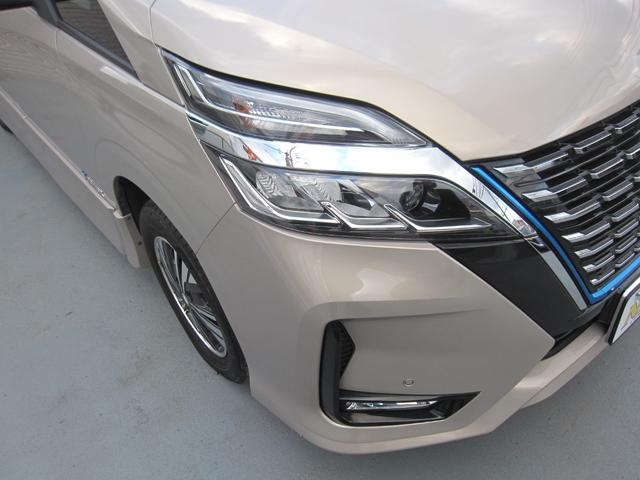 �w�b�h���C�g�̂����݂≩�΂݂��������薁���グ�ς݁I�����ڂ������ƃL���C�ŁA��Ԃ̎��F�����A�b�v��