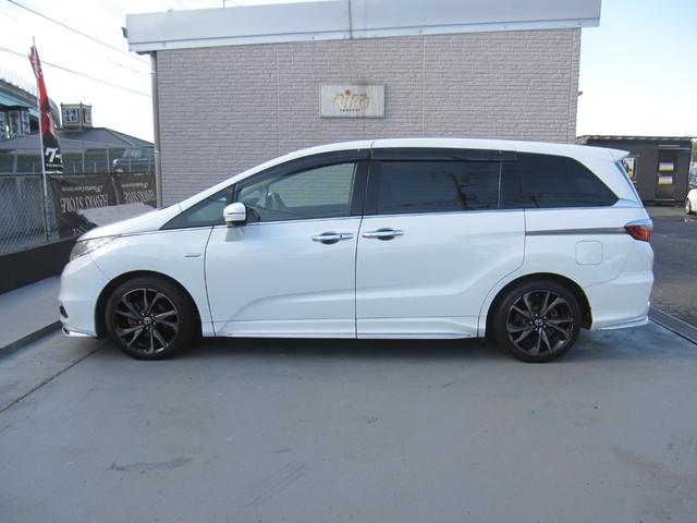 ���ꂢ�ȊO���Ō����ڂ��΂�����I����ۂ���D��ہ�O���̓v���ɂ�閁���グ�ς݁I�s�J�s�J�̌����ڂ����͂ł��I