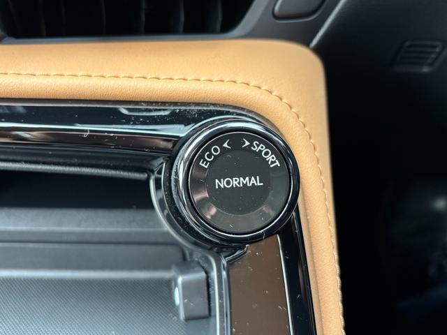 NX NX350h 一部改良モデル パノラマルーフ 純OP20インチAW HDMI端子 走行中TVOK ヘーゼルレザーシート ETC LED 純正ナビTV アラウンドビュー 禁煙車 パワーバックドア 5年コーティング済(13枚目)