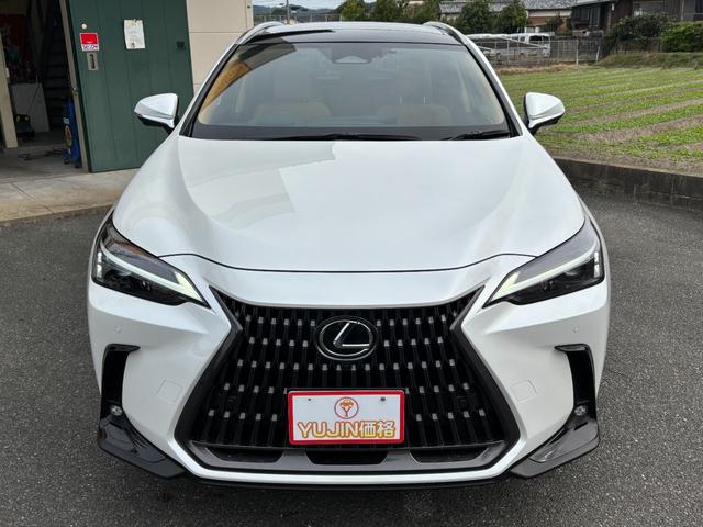 NX NX350h 一部改良モデル パノラマルーフ 純OP20インチAW HDMI端子 走行中TVOK ヘーゼルレザーシート ETC LED 純正ナビTV アラウンドビュー 禁煙車 パワーバックドア 5年コーティング済(20枚目)