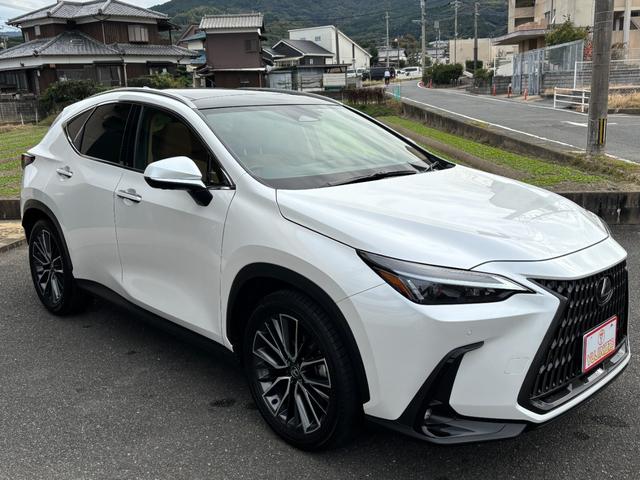 NX NX350h 一部改良モデル パノラマルーフ 純OP20インチAW HDMI端子 走行中TVOK ヘーゼルレザーシート ETC LED 純正ナビTV アラウンドビュー 禁煙車 パワーバックドア 5年コーティング済(21枚目)