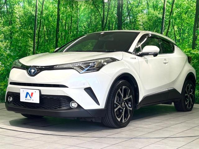 Ｃ－ＨＲ Ｇ　純正９インチナビ　バックカメラ　衝突軽減　ＢＳＭ　ＬＥＤヘッド　ＥＴＣ　ドラレコ　レーダークルーズ　フルセグ　Ｂｌｕｅｔｏｏｔｈ　電子パーキング　オートホールド（24枚目）