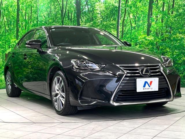 ＩＳ ＩＳ３００ｈ　バージョンＬ　純正ナビ　黒革　衝突軽減　ＥＴＣ　バックカメラ　ＬＥＤヘッド　レーダークルーズ　フルセグ　Ｂｌｕｅｔｏｏｔｈ　パワーシート　ＢＳＭ　ステアリングヒーター　シートベンチレーション　サン（17枚目）