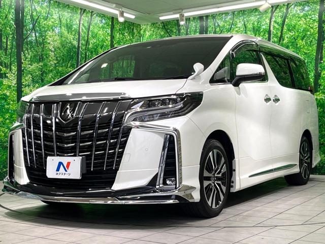 アルファード ２．５Ｓ　Ｃパッケージ　モデリスタフルエアロ　純正９インチＤＡ　後席モニター　デジタルミラー　ＢＳＭ　両側電動　ドラレコ　ＥＴＣ　パワーバックドア　パワーシート　シートメモリー　シーケンシャルウィンカー　バックカメラ（22枚目）