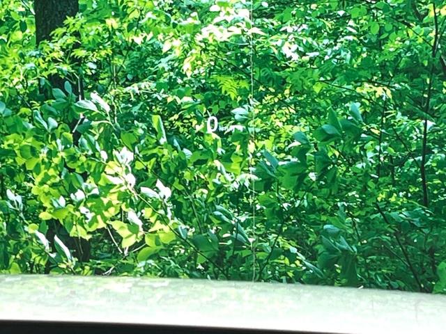 CX-5 XD プロアクティブ 純正ナビ 全周囲カメラ パワーシート パワーバックドア シートメモリー レーダークルーズ 衝突軽減 ETC コーナーセンサー LEDヘッド 電子パーキング オートホールド(53枚目)