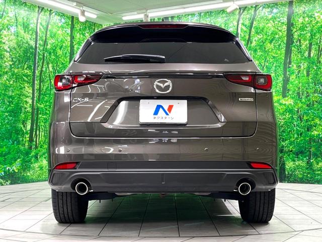 ＣＸ－８ ＸＤ　スポーツアピアランス　純正１０インチナビ　ＢＯＳＥサウンド　赤革　全周囲カメラ　フルセグ　ドラレコ　ＥＴＣ　ＨＵＤ　ＢＳＭ　パワーシート　パワーバックドア　ルーフレール　ＬＥＤヘッド　レーダークルーズ（16枚目）