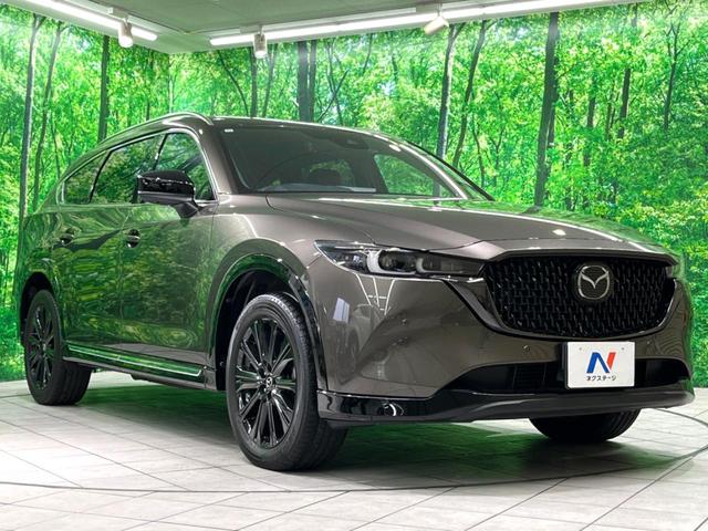 ＣＸ－８ ＸＤ　スポーツアピアランス　純正１０インチナビ　ＢＯＳＥサウンド　赤革　全周囲カメラ　フルセグ　ドラレコ　ＥＴＣ　ＨＵＤ　ＢＳＭ　パワーシート　パワーバックドア　ルーフレール　ＬＥＤヘッド　レーダークルーズ（17枚目）