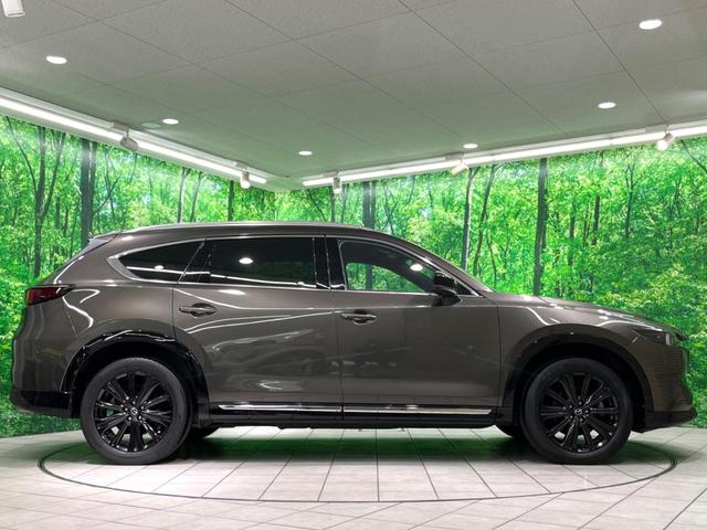 ＣＸ－８ ＸＤ　スポーツアピアランス　純正１０インチナビ　ＢＯＳＥサウンド　赤革　全周囲カメラ　フルセグ　ドラレコ　ＥＴＣ　ＨＵＤ　ＢＳＭ　パワーシート　パワーバックドア　ルーフレール　ＬＥＤヘッド　レーダークルーズ（22枚目）