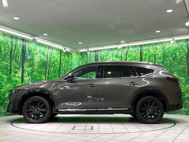 ＣＸ－８ ＸＤ　スポーツアピアランス　純正１０インチナビ　ＢＯＳＥサウンド　赤革　全周囲カメラ　フルセグ　ドラレコ　ＥＴＣ　ＨＵＤ　ＢＳＭ　パワーシート　パワーバックドア　ルーフレール　ＬＥＤヘッド　レーダークルーズ（23枚目）