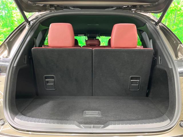 ＣＸ－８ ＸＤ　スポーツアピアランス　純正１０インチナビ　ＢＯＳＥサウンド　赤革　全周囲カメラ　フルセグ　ドラレコ　ＥＴＣ　ＨＵＤ　ＢＳＭ　パワーシート　パワーバックドア　ルーフレール　ＬＥＤヘッド　レーダークルーズ（29枚目）