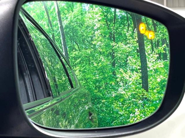 ＣＸ－８ ＸＤ　スポーツアピアランス　純正１０インチナビ　ＢＯＳＥサウンド　赤革　全周囲カメラ　フルセグ　ドラレコ　ＥＴＣ　ＨＵＤ　ＢＳＭ　パワーシート　パワーバックドア　ルーフレール　ＬＥＤヘッド　レーダークルーズ（54枚目）