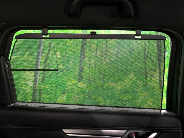 ＣＸ－８ ＸＤ　スポーツアピアランス　純正１０インチナビ　ＢＯＳＥサウンド　赤革　全周囲カメラ　フルセグ　ドラレコ　ＥＴＣ　ＨＵＤ　ＢＳＭ　パワーシート　パワーバックドア　ルーフレール　ＬＥＤヘッド　レーダークルーズ（75枚目）