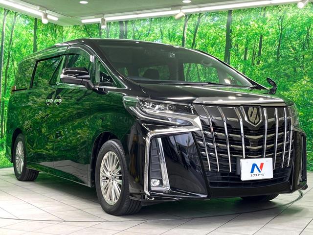 アルファード ２．５Ｓ　Ａパッケージ　後期　純正９インチナビ　後席モニター　両側電動　ドラレコ　ＥＴＣ　バックカメラ　ＬＥＤヘッド　衝突軽減　ＢＳＭ　レーダークルーズ　電子パーキング　オートホールド（17枚目）