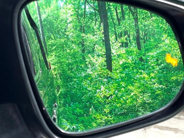 アルファード ２．５Ｓ　Ａパッケージ　後期　純正９インチナビ　後席モニター　両側電動　ドラレコ　ＥＴＣ　バックカメラ　ＬＥＤヘッド　衝突軽減　ＢＳＭ　レーダークルーズ　電子パーキング　オートホールド（64枚目）