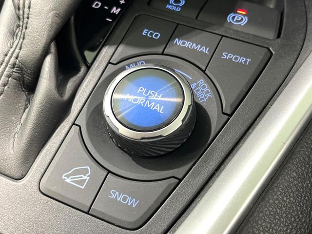 ＲＡＶ４ アドベンチャー　４ＷＤ　純正８インチＤＡ　バックカメラ　衝突軽減　ＥＴＣ　ドラレコ　レーダークルーズ　パワーバックドア　パワーシート　ＬＥＤヘッド　Ｂｌｕｅｔｏｏｔｈ　スマートキー（47枚目）