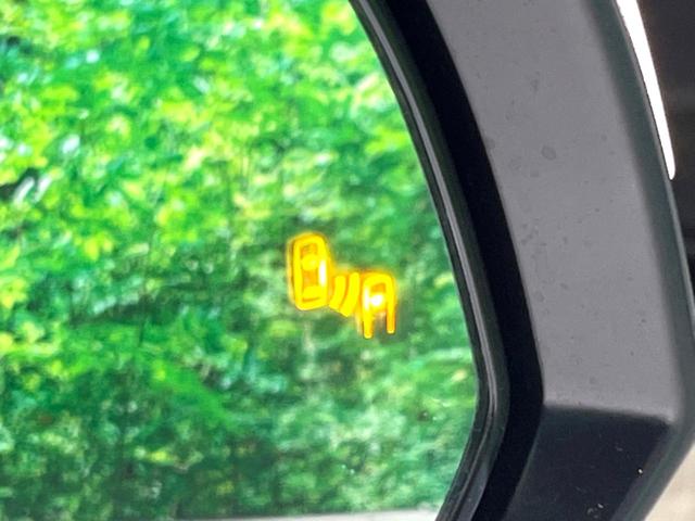 アルファード ２．５Ｓ　Ｃパッケージ　サンルーフ　３眼ＬＥＤ　純正９インチＤＡ　後席モニター　衝突軽減　デジタルインナーミラー　バックカメラ　ＢＳＭ　両側電動　レーダークルーズ　ステアリングヒーター　パワーバックドア　レザーシート（78枚目）