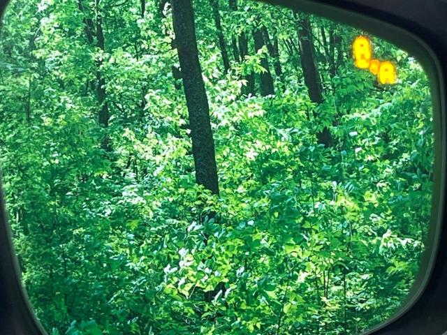 CX-3 XD ツーリング Lパッケージ 純正ナビ バックカメラ BOSEサウンド BSM ハーフレザーシート ドラレコ ETC 衝突軽減 クルーズコントロール シートヒーター LEDヘッド スマートキー アイドリングストップ(6枚目)