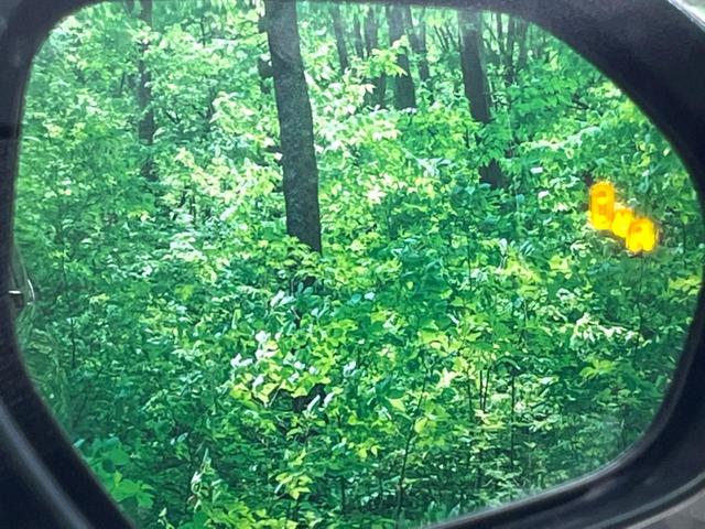 シエンタ ハイブリッドZ 7人 純正10インチDA 後席モニター 全周囲カメラ 純正OP15インチアルミホイール 両側電動スライド AC100V ETC フルセグ 衝突軽減 BSM レーダークルーズ シートヒーター(63枚目)