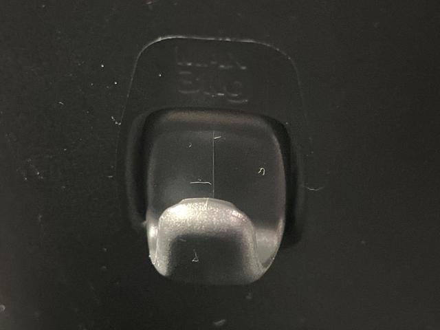 デイズ ハイウェイスター　Ｘ　純正ナビ　バックカメラ　フルセグ　ドラレコ　ＥＴＣ　ＨＩＤヘッド　オートエアコン　スマートキー　アイドリングストップ　純正１４インチアルミホイール　電動格納ミラー（38枚目）