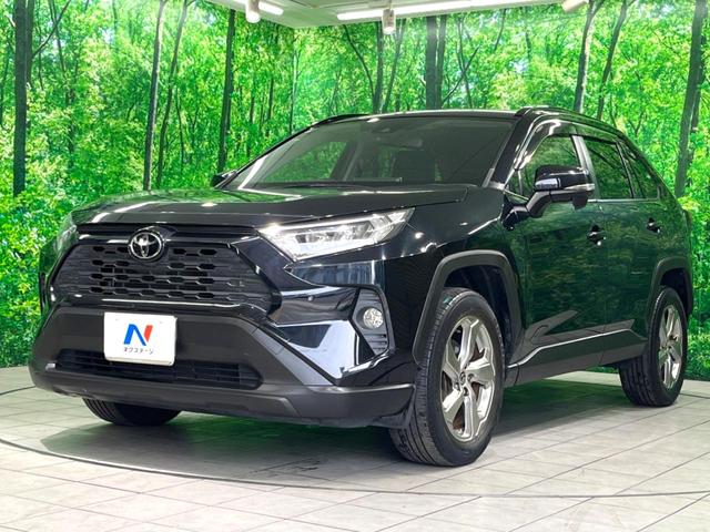 ＲＡＶ４ Ｘ　純正８インチＤＡ　バックカメラ　ＬＥＤヘッド　衝突軽減　レーダークルーズ　ルーフレール　オートエアコン　スマートキー　電動格納ミラー（22枚目）