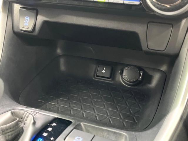 ＲＡＶ４ Ｘ　純正８インチＤＡ　バックカメラ　ＬＥＤヘッド　衝突軽減　レーダークルーズ　ルーフレール　オートエアコン　スマートキー　電動格納ミラー（40枚目）